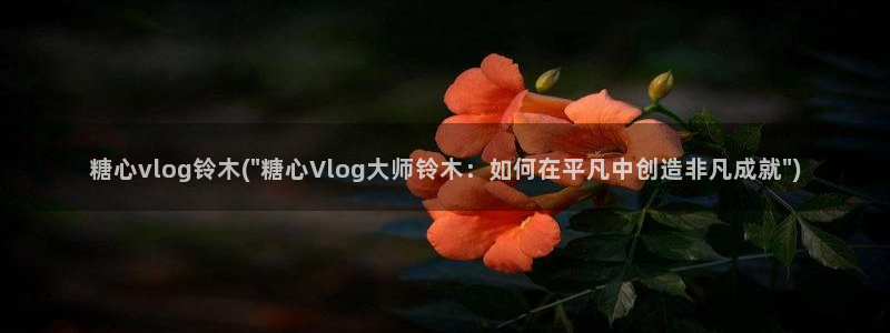 糖心vlogi