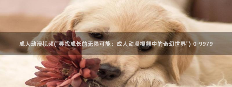 盗墓笔记动漫：成人动漫视频(\